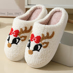 Couples Winter Warm Furry Shoes For Women And Men