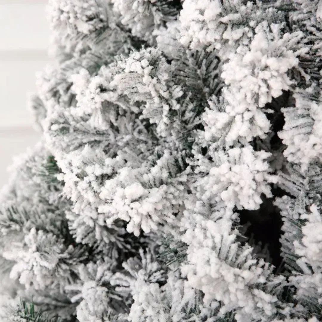 Close-up of a frosted Christmas tree with snow on branches
