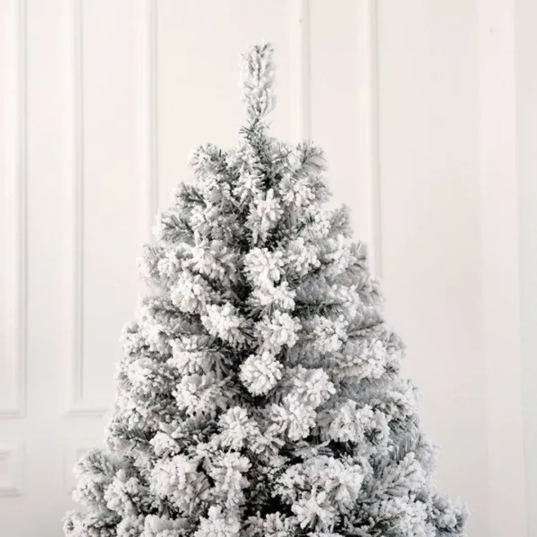 Frosted Christmas tree against a white paneled wall